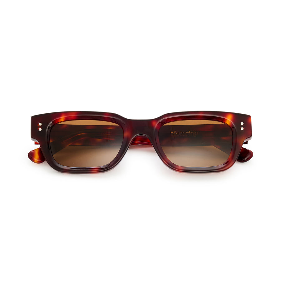 Motorino Sunglasses - Tortoise